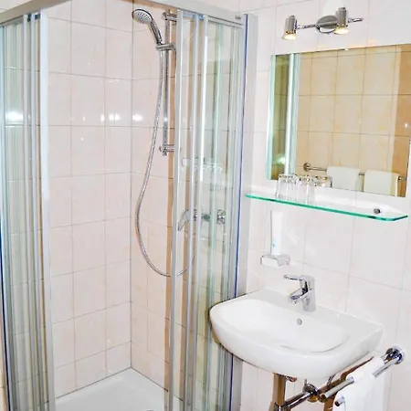 Gasthaus-pension Schwarzer Graf 3*