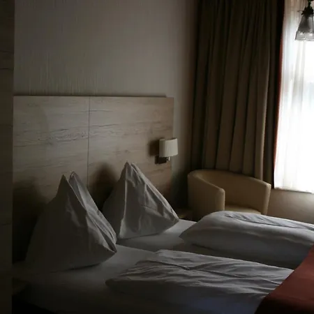 Gasthaus-pension Schwarzer Graf ゲストハウス ヴィンディッシュガルシュテン